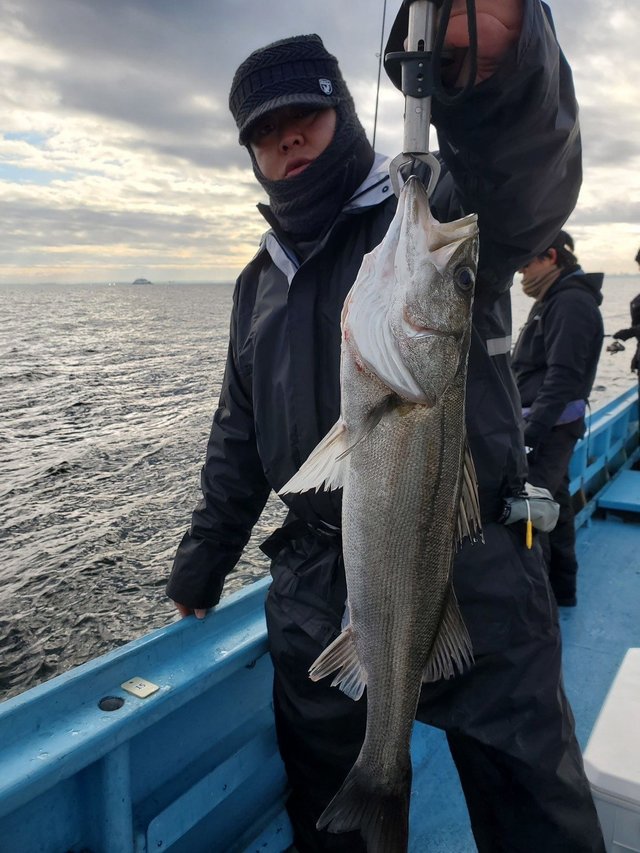 シーバス(スズキ)