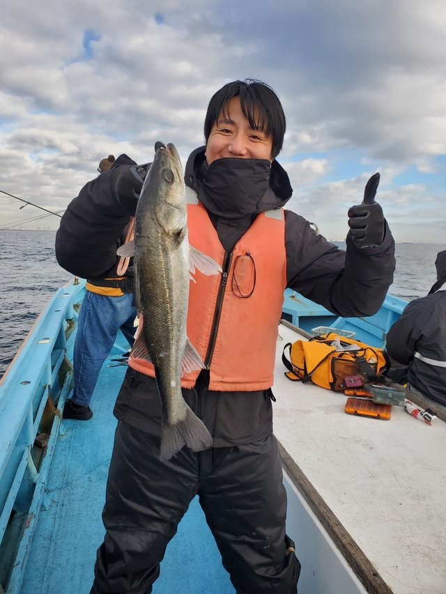 シーバス(スズキ)