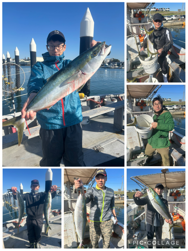 ブリ・メジロ(ブリ)