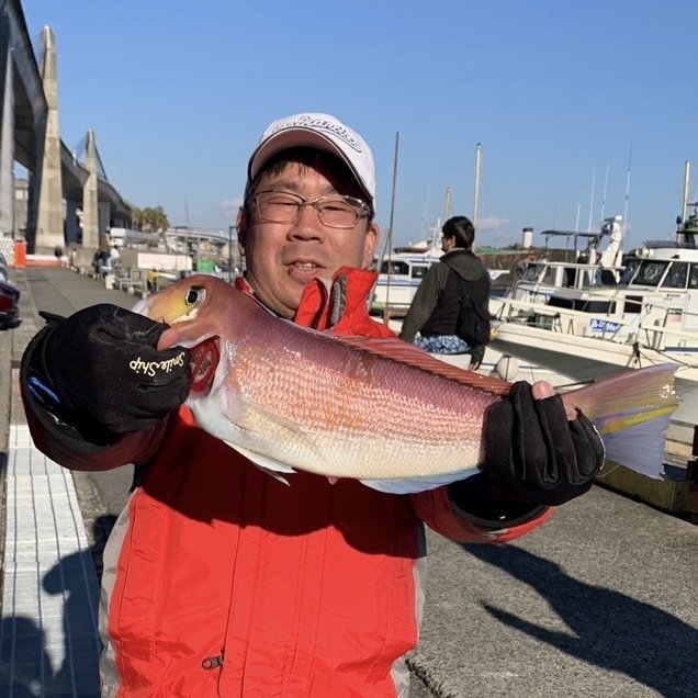 アマダイ(アカアマダイ)