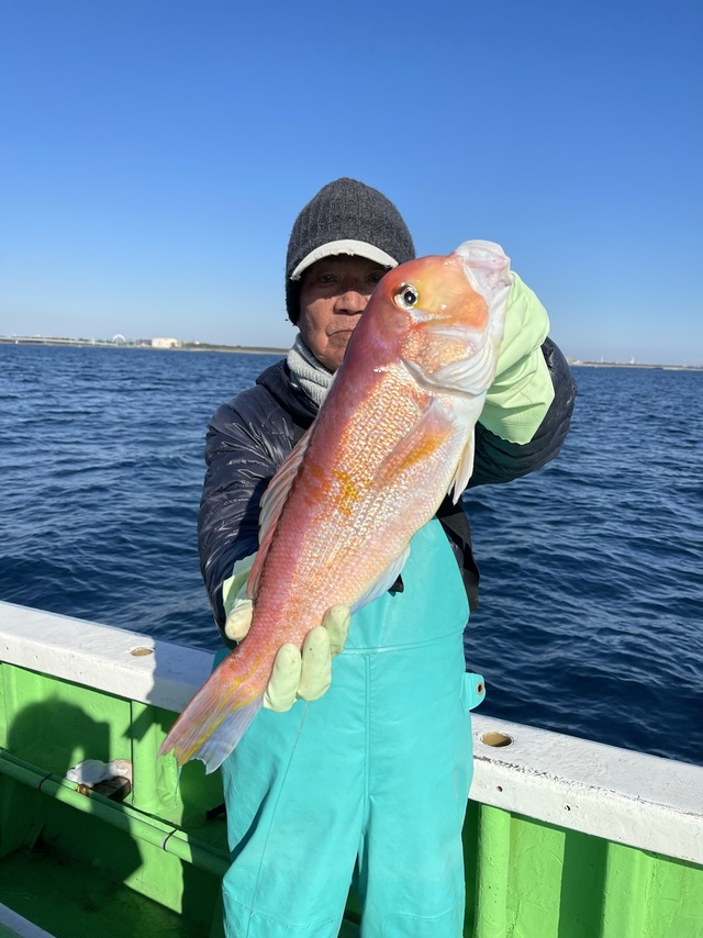 アマダイ(アカアマダイ)