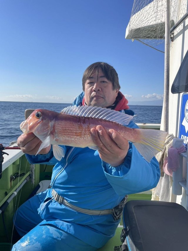 アマダイ(アカアマダイ)