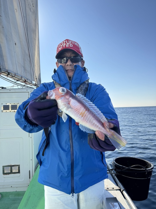 アマダイ(アカアマダイ)