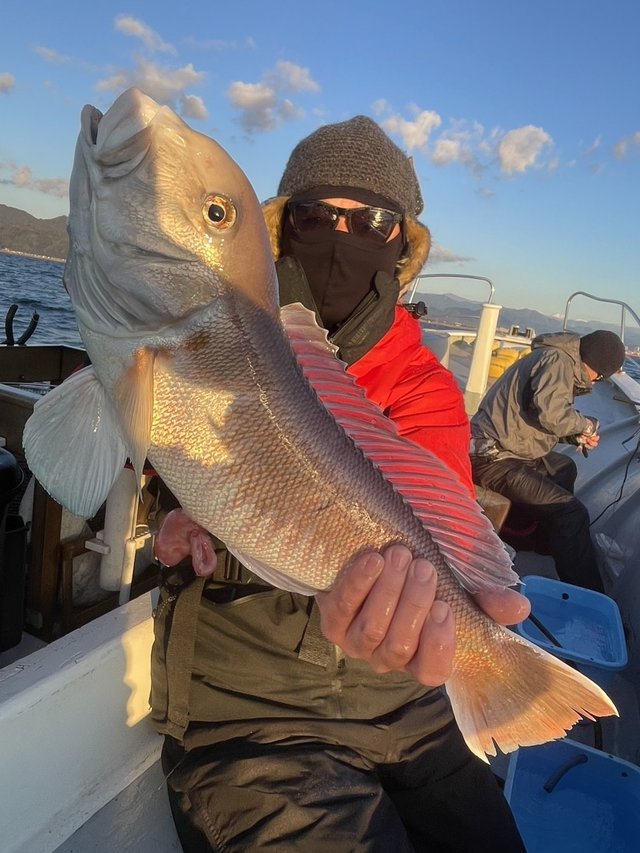駿河湾・遠州灘（静岡県）で釣れたシロアマダイの最新釣果、釣り情報