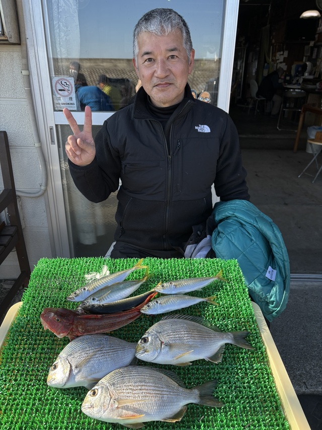 ヘダイ・アジ(マアジ)