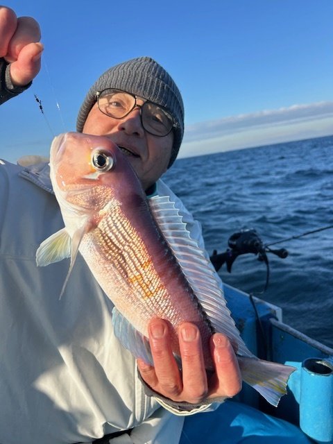 アマダイ(アカアマダイ)