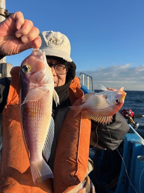 レンコダイ(キダイ)・アマダイ(アカアマダイ)