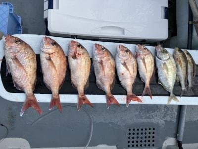 マダイ・メイチダイ・イサキ