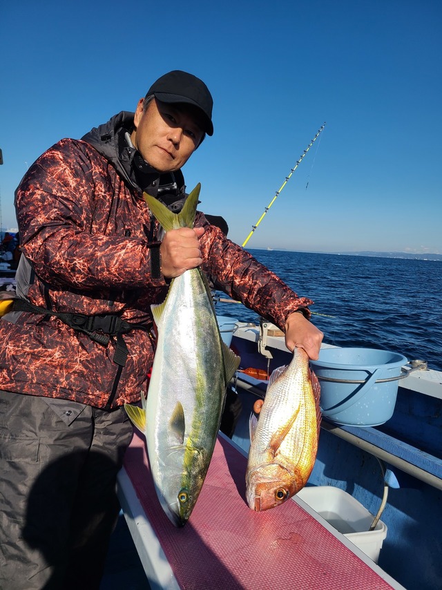 マダイ・ワラサ(ブリ)