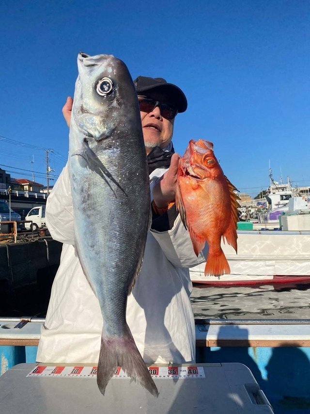 キントキ(チカメキントキ)・メダイ