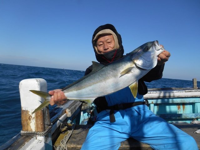 ヒラマサ