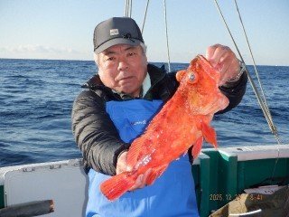 カンコ(ウッカリカサゴ)