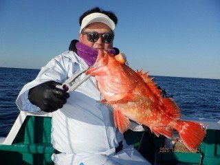 カンコ(ウッカリカサゴ)