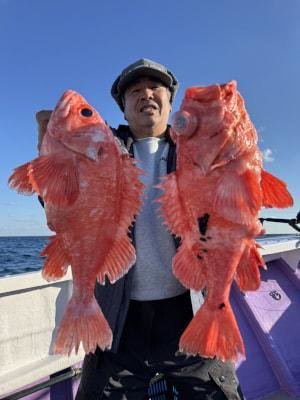 アコウダイ