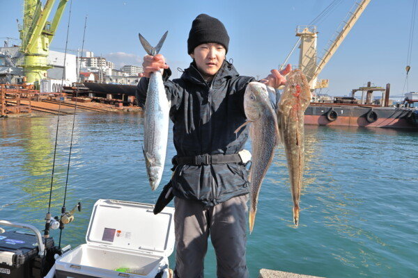 サゴシ(サワラ)・コチ(マゴチ)