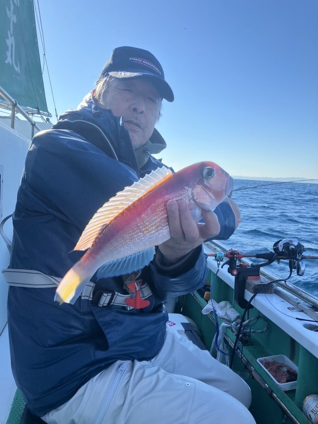 アマダイ(アカアマダイ)