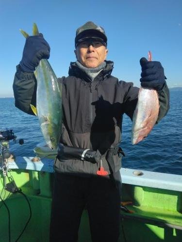 マダイ・ハマチ(ブリ)