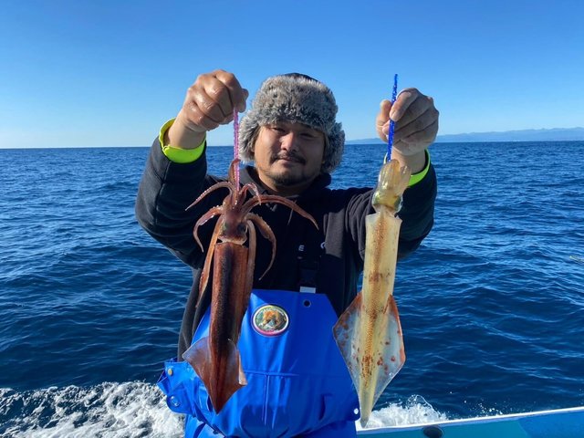 ヤリイカ・スルメイカ