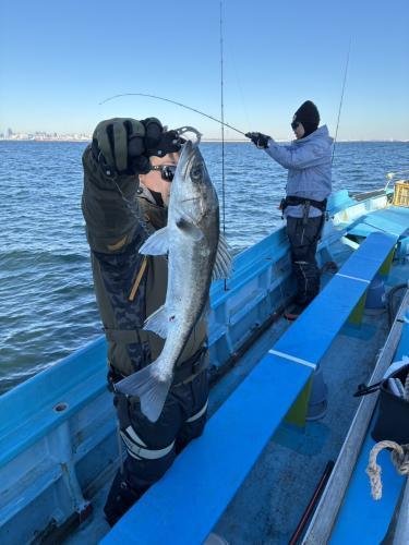 シーバス(スズキ)