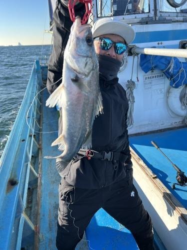 シーバス(スズキ)