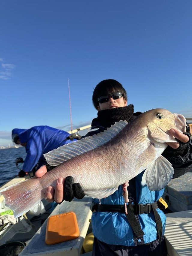 アマダイ(アカアマダイ)