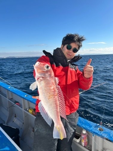 アマダイ(アカアマダイ)