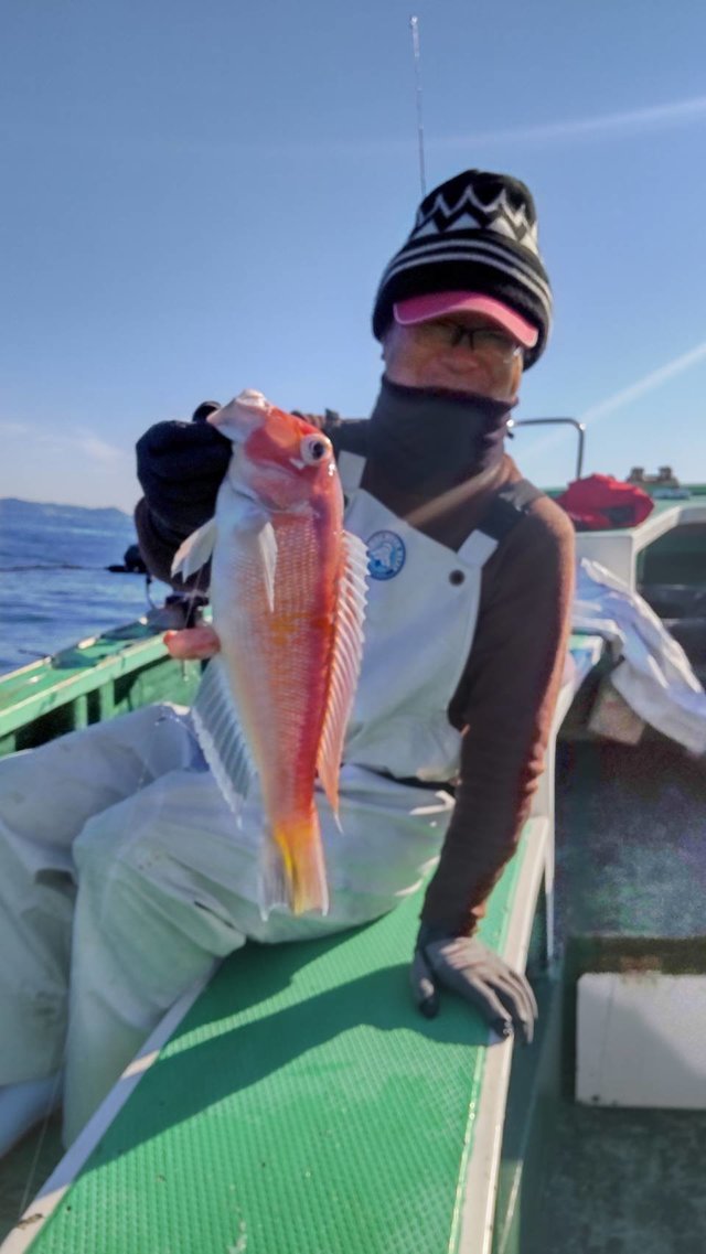 アマダイ(アカアマダイ)