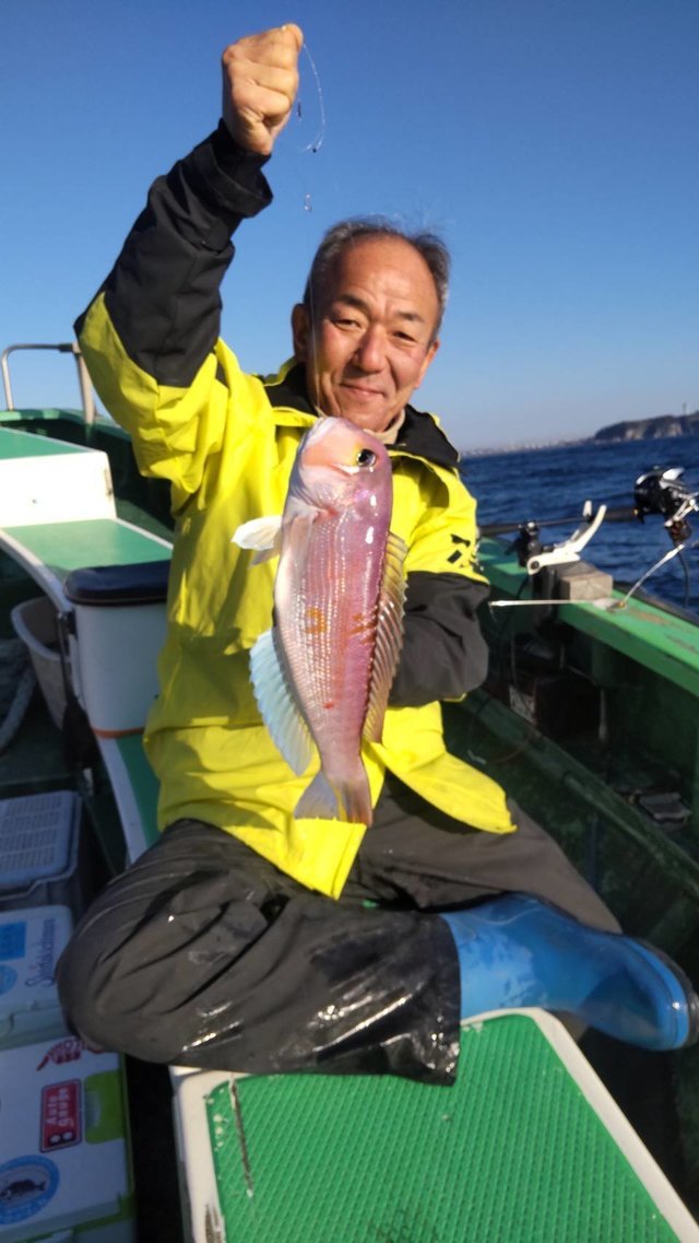 アマダイ(アカアマダイ)