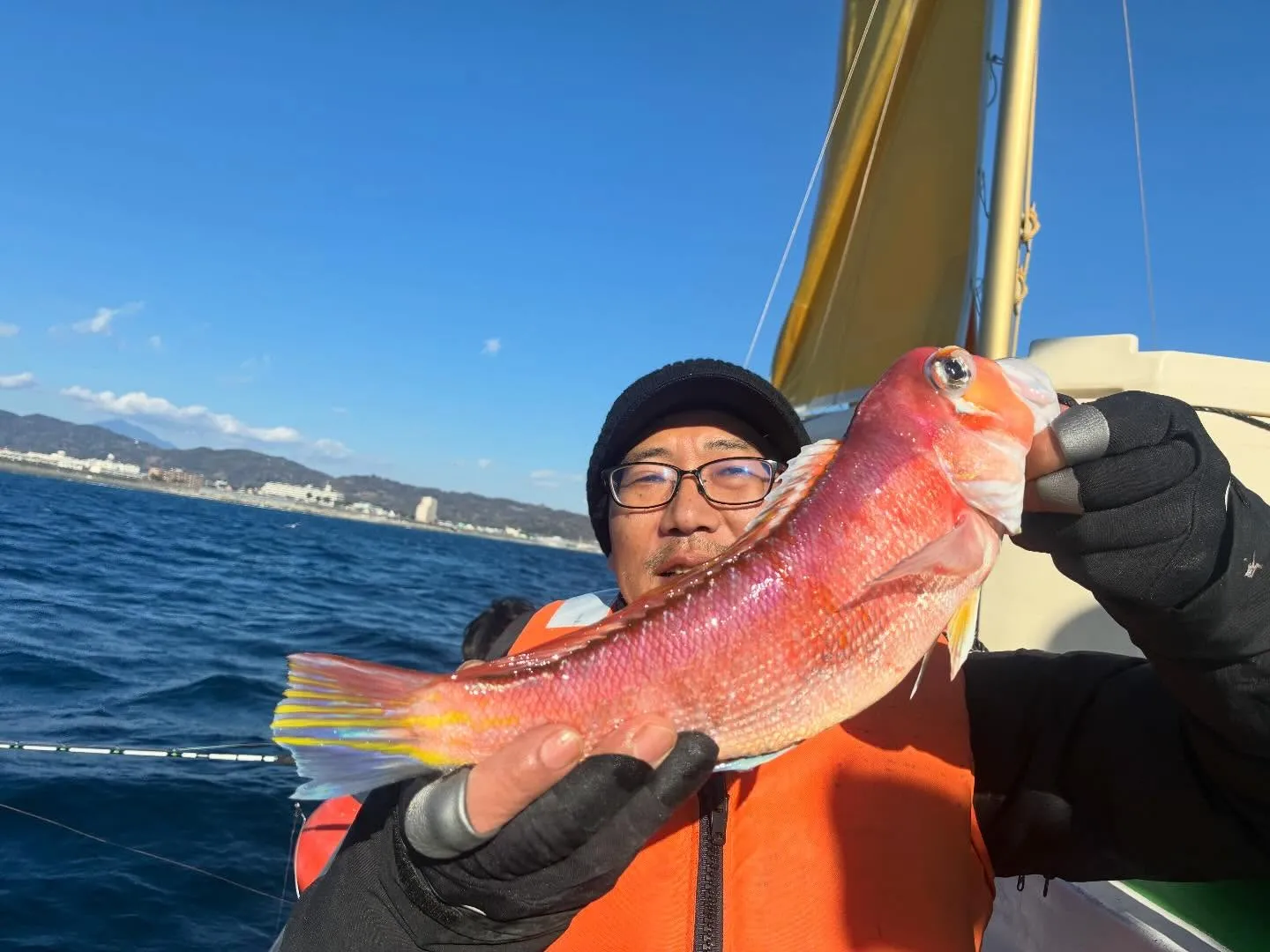 アマダイ(アカアマダイ)