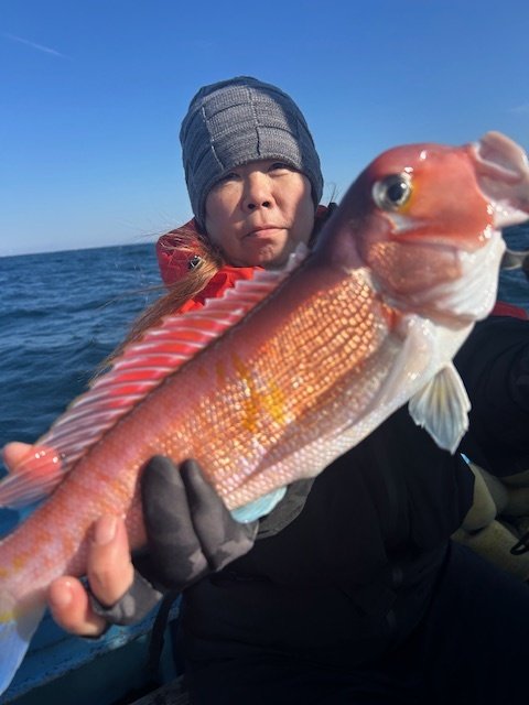 アマダイ(アカアマダイ)