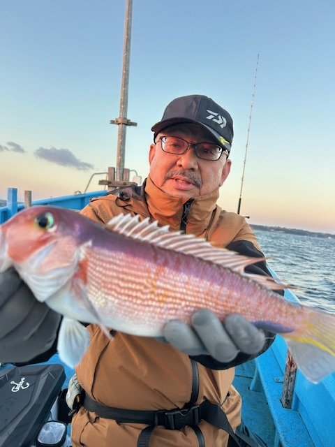 アマダイ(アカアマダイ)