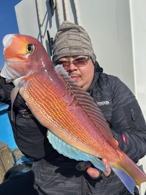 アマダイ(アカアマダイ)