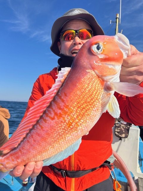 アマダイ(アカアマダイ)