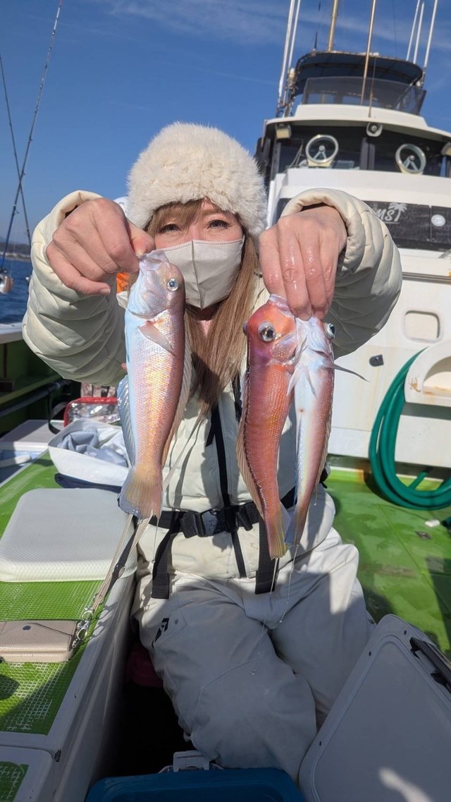 アマダイ(アカアマダイ)