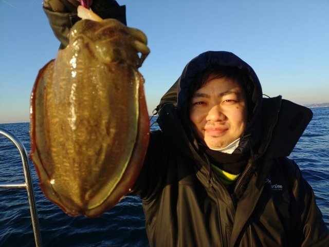 モンゴウイカ(カミナリイカ)