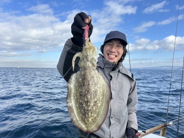 モンゴウイカ(カミナリイカ)