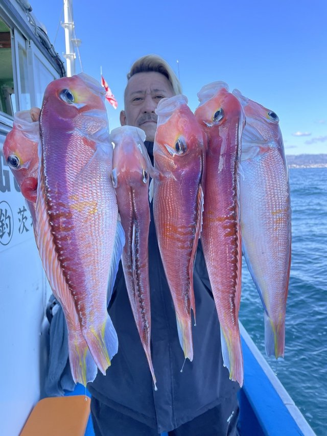 アマダイ(アカアマダイ)