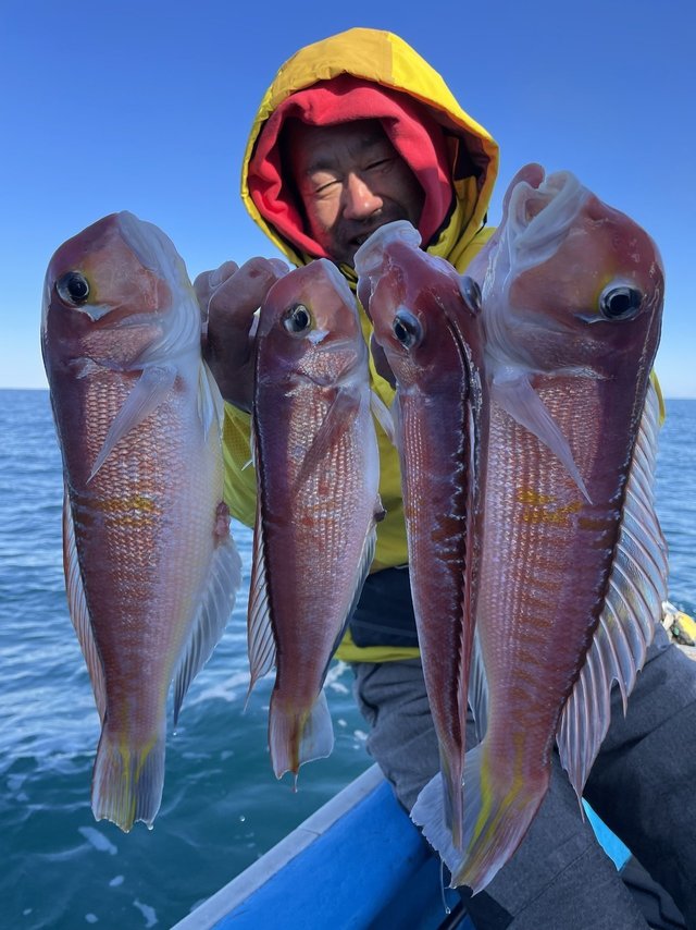 アマダイ(アカアマダイ)