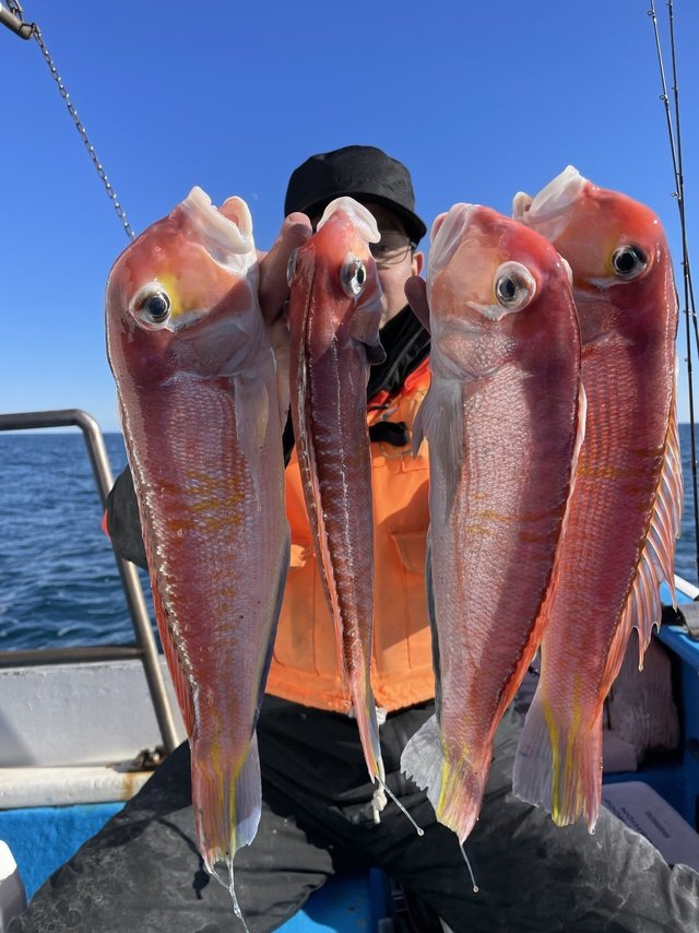 アマダイ(アカアマダイ)