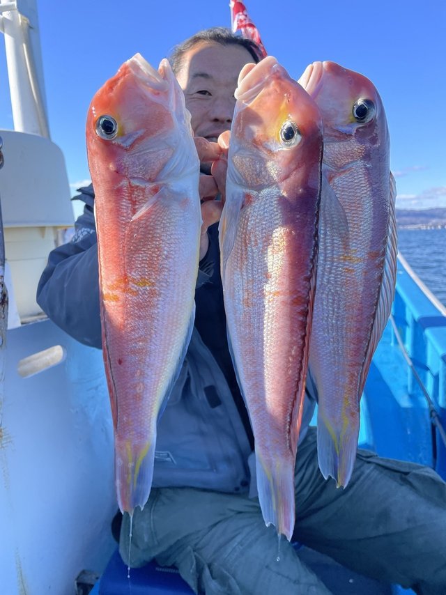 アマダイ(アカアマダイ)