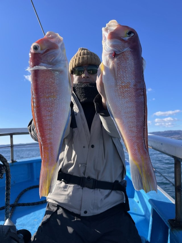 アマダイ(アカアマダイ)