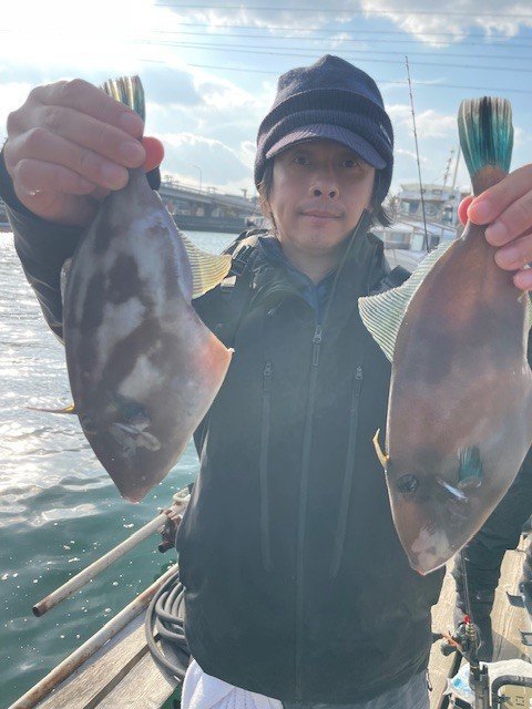 ウマヅラ(ウマヅラハギ)