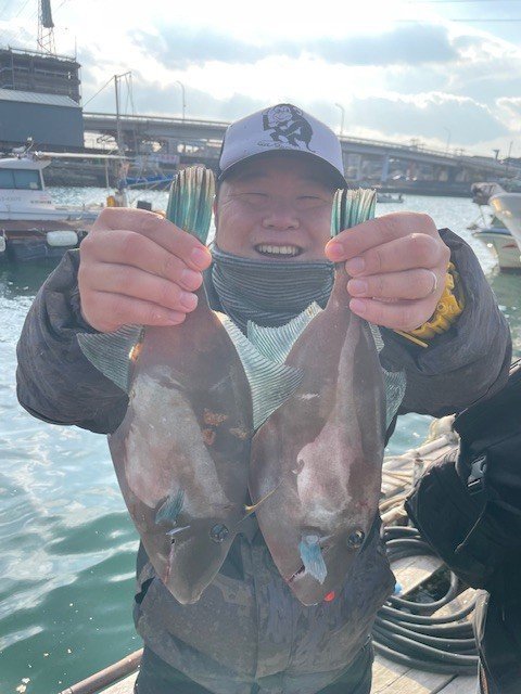 ウマヅラ(ウマヅラハギ)