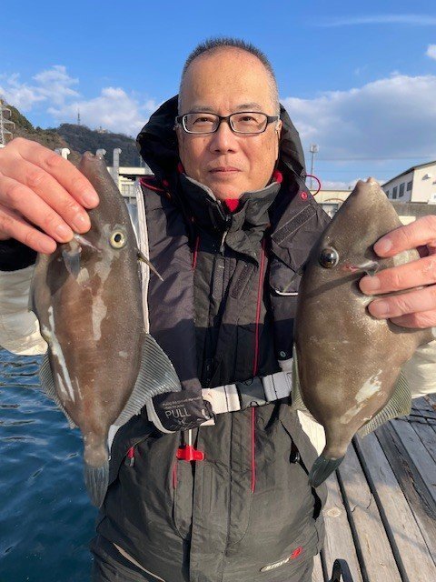 ウマヅラ(ウマヅラハギ)