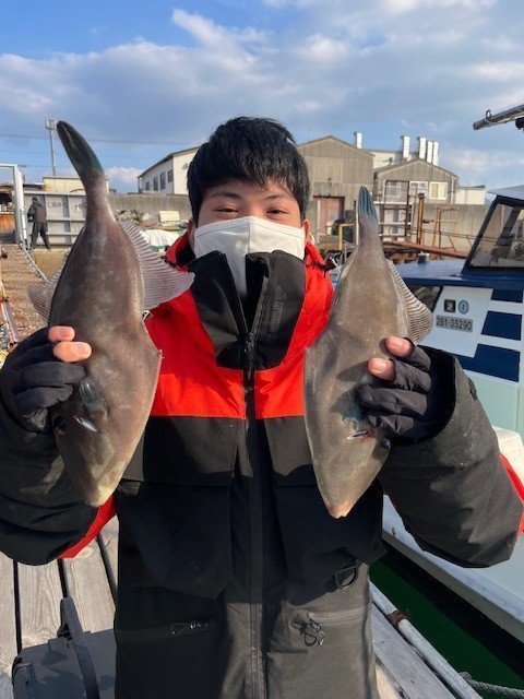 ウマヅラ(ウマヅラハギ)