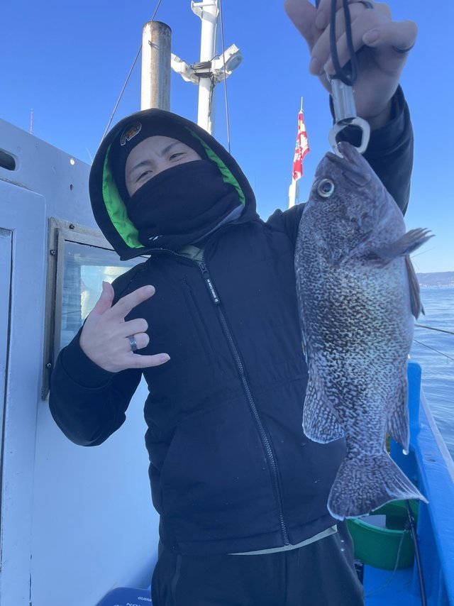 マゾイ(キツネメバル)