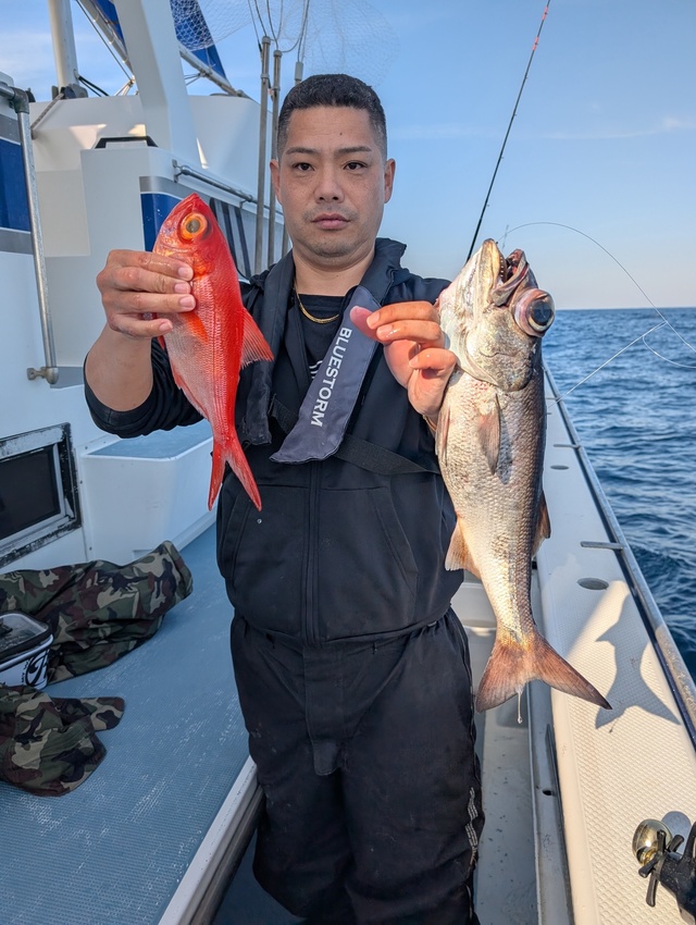 クロムツ・キンメダイ