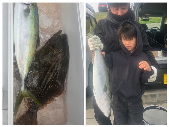 メジロ(ブリ)・ヒラメ