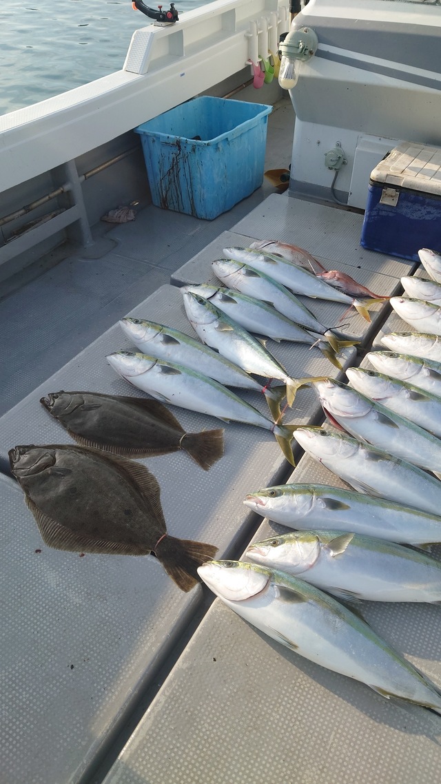 マダイ・ヤズ(ブリ)・ヒラメ