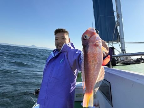 アマダイ(アカアマダイ)